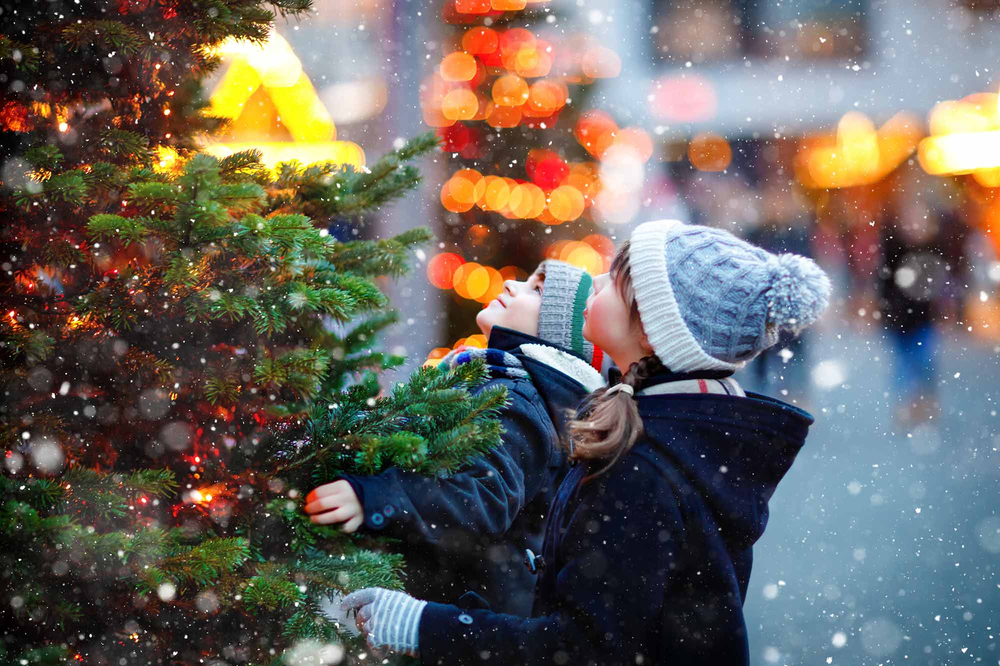 Julearrangement og tomtevisning på Korsvoll